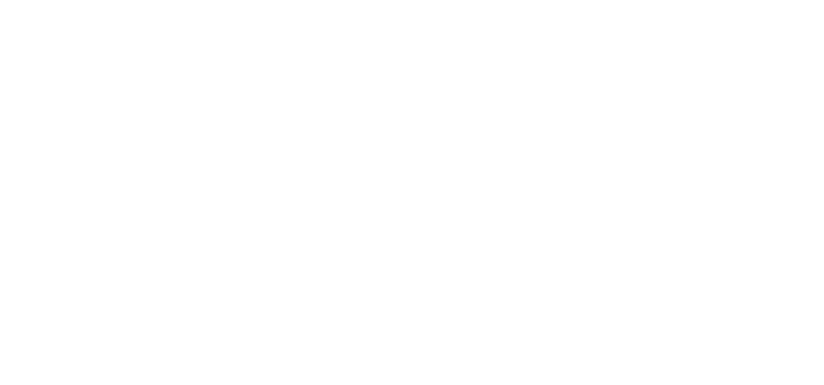 vipin-logo