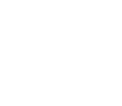vipin-logo